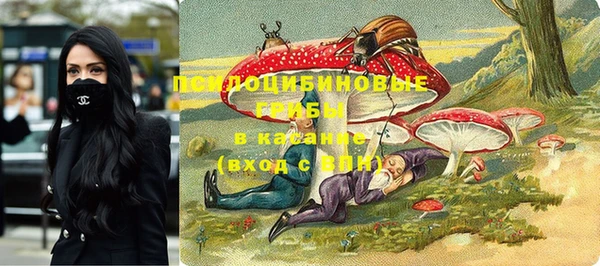 круглые Рославль