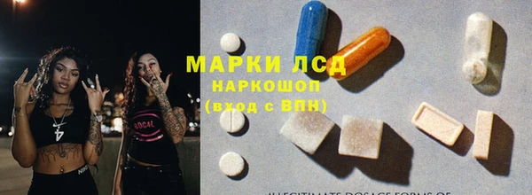 хмурый Сосновка