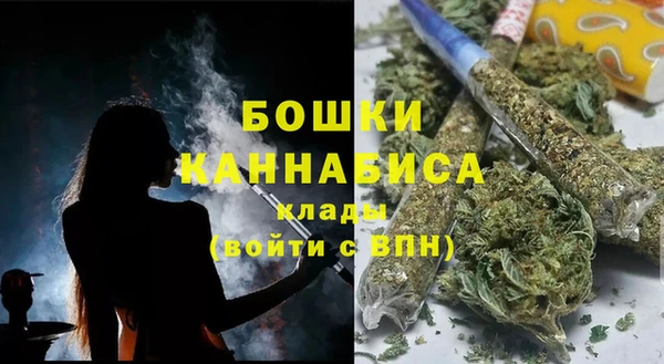 мдма Дмитриев