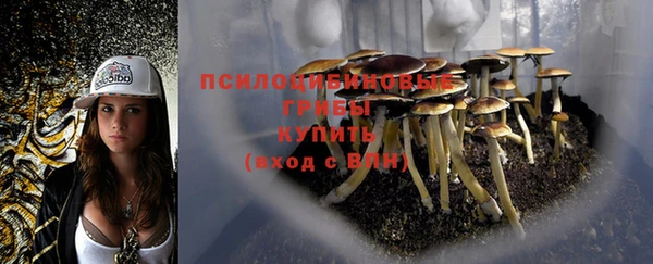 MDMA Premium VHQ Дмитров