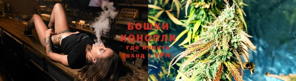 мдма Дмитриев