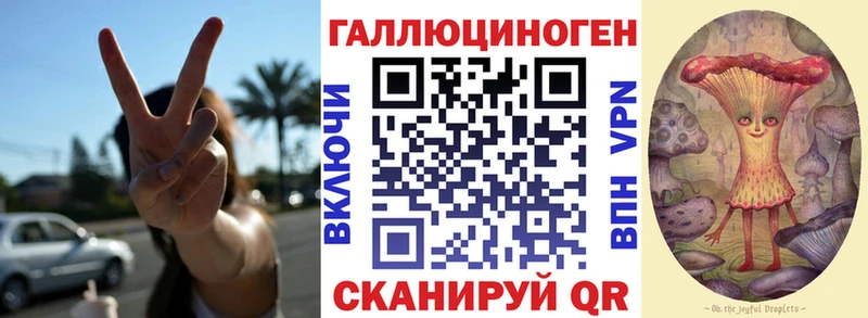 Псилоцибиновые грибы прущие грибы  МЕГА как войти  Дальнегорск 